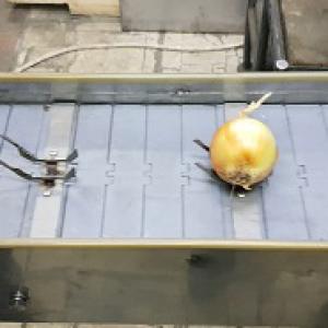 WOS 757 MACHINE FOR DRY PEELING OF ONION