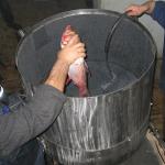 Машина для очистки рыбы от чешуи